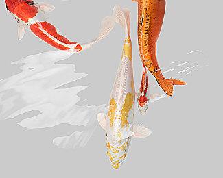 动漫风格免费射击游戏《Strinova》解锁时间公布